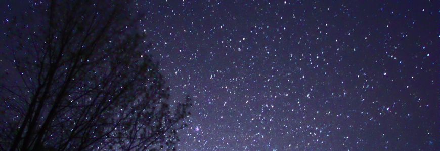 Night_Sky_Stars_Trees_02